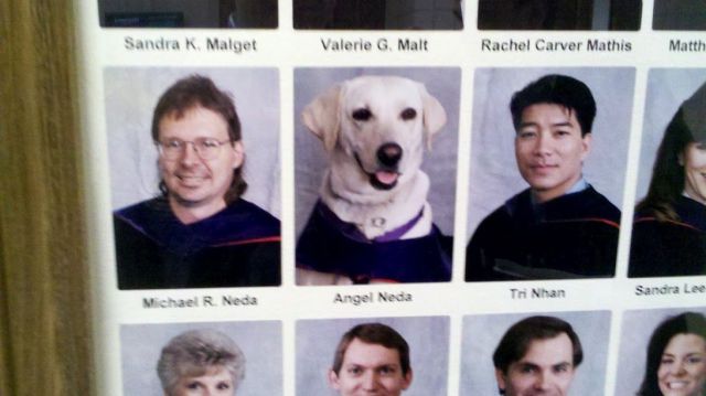 daily picdump 90 pics 23.html - 90 HD Photos | Premium Gallery 2012