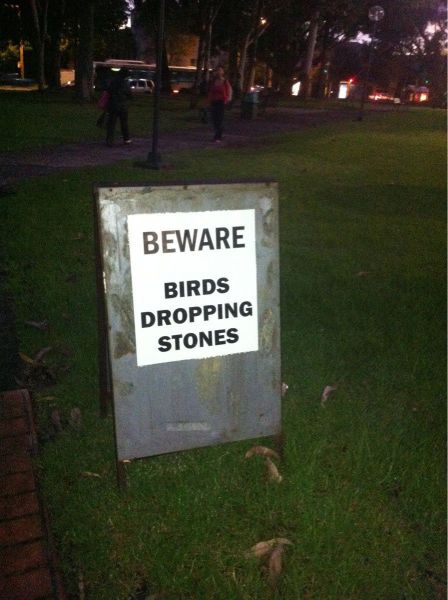 morning picdump 55 pics 7.html - 55 HD Photos | Premium Gallery 2012