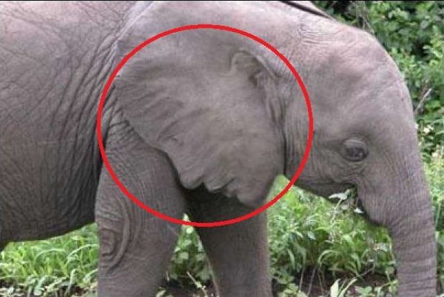 morning picdump 55 pics 7.html - 55 HD Photos | Premium Gallery 2012