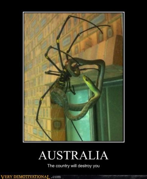 Demotivators Picdump