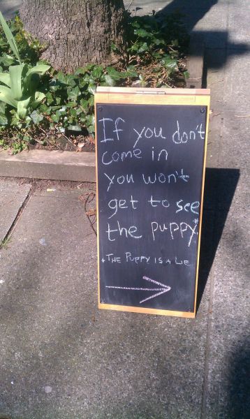 morning picdump 57 pics 27.html - 57 HD Photos | Premium Gallery 2012