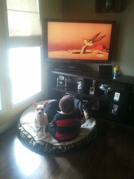 morning picdump 52 pics 26.html - 52 HD Photos | Premium Gallery 2012