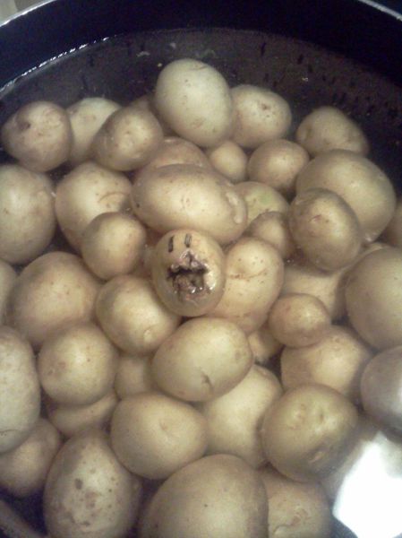 morning picdump 52 pics 26.html - 52 HD Photos | Premium Gallery 2012