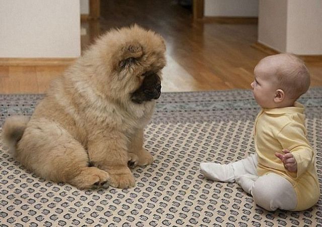 daily picdump 96 pics 28.html - 96 HD Photos | Premium Gallery 2012