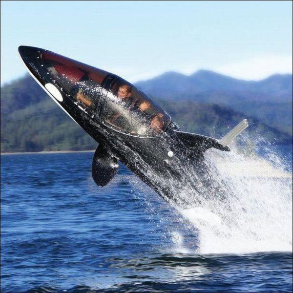 daily picdump 96 pics 28.html - 96 HD Photos | Premium Gallery 2012