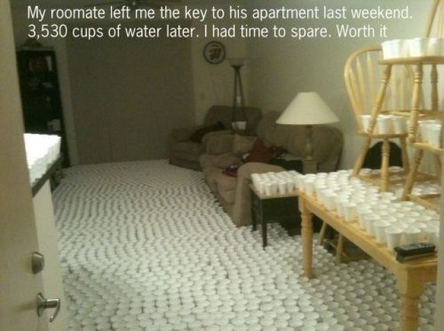 Morning Picdump