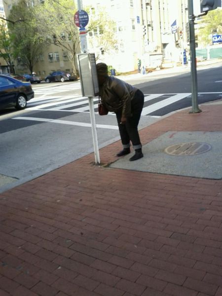 morning picdump 52 pics 24.html - 52 HD Photos | Premium Gallery 2012