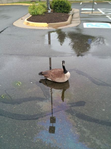 Daily Picdump
