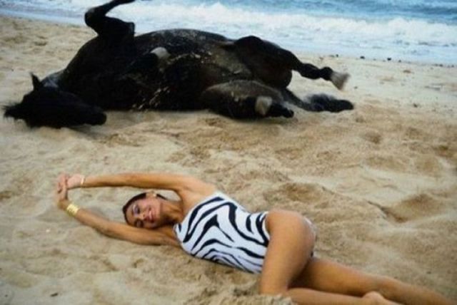 Daily Picdump