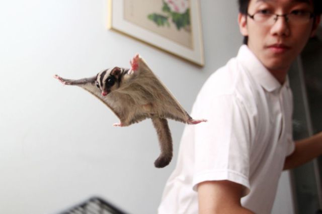 Daily Picdump