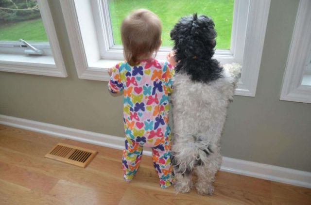 daily picdump 93 pics 22.html - 93 HD Photos | Premium Gallery 2012
