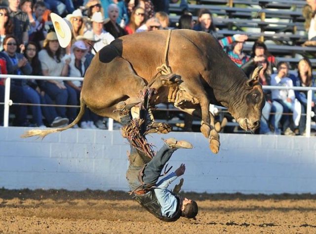 daily picdump 93 pics 22.html - 93 HD Photos | Premium Gallery 2012