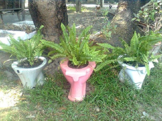 morning picdump 50 pics 2.html - 50 HD Photos | Premium Gallery 2012