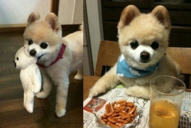 Asians Know How to Live