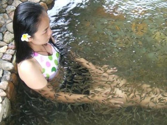 Asians Know How to Live