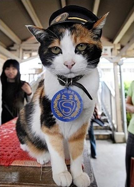 Asians Know How to Live