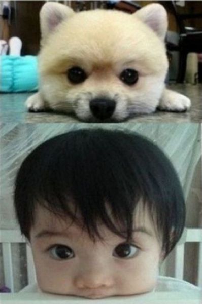 Asians Know How to Live