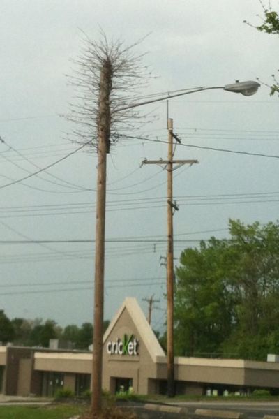 daily picdump 87 pics 36.html - 87 HD Photos | Premium Gallery 2012