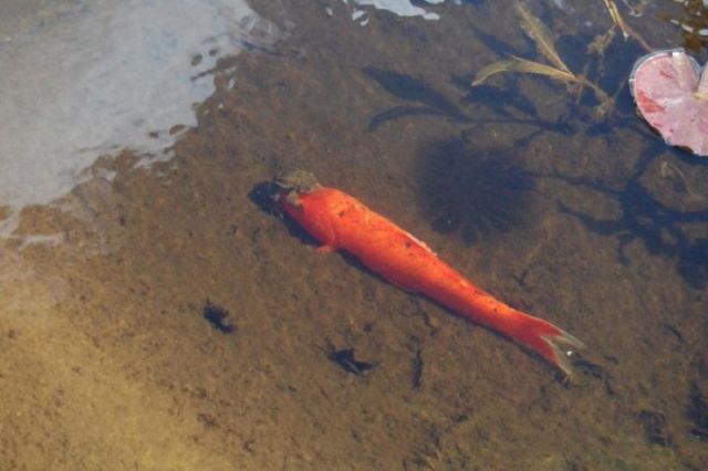 morning picdump 50 pics 37.html - 50 HD Photos | Premium Gallery 2012