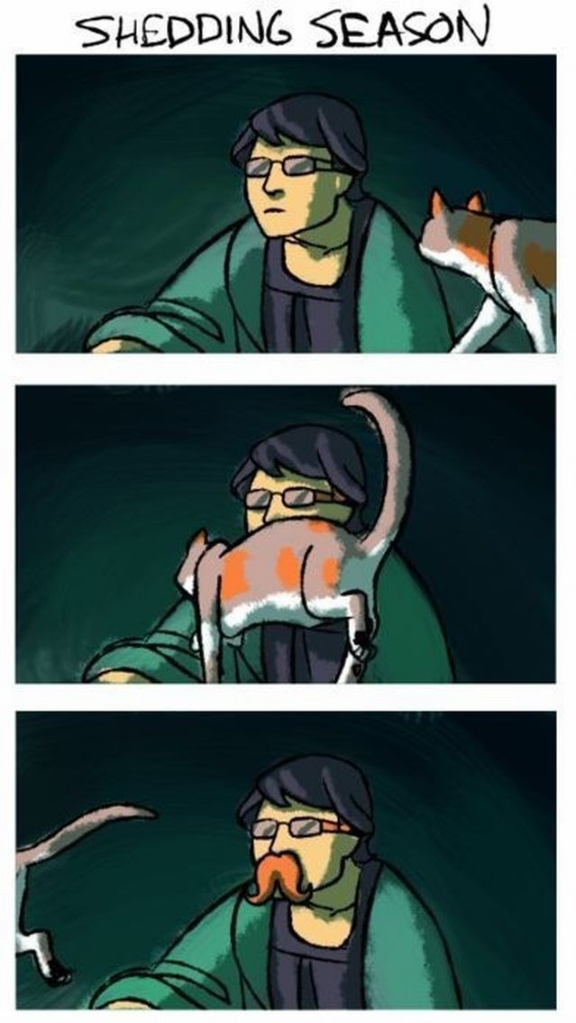 morning picdump 50 pics 37.html - 50 HD Photos | Premium Gallery 2012