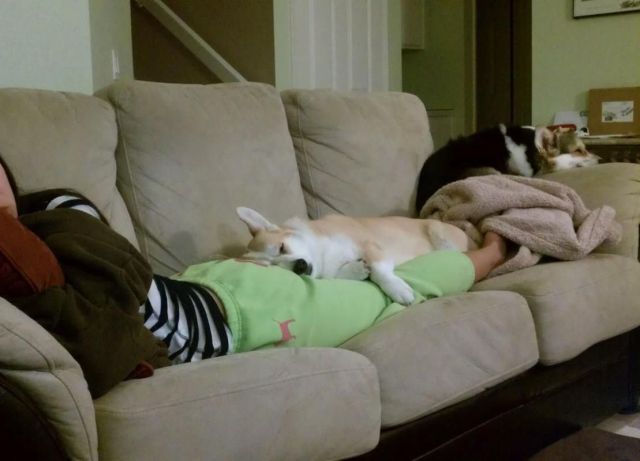 morning picdump 54 pics 34.html - 54 HD Photos | Premium Gallery 2012