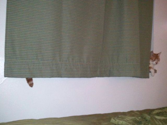 daily picdump 9 pics 27.html - 9 HD Photos | Premium Gallery 2012