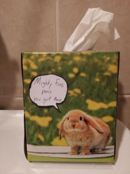 daily picdump 9 pics 27.html - 9 HD Photos | Premium Gallery 2012