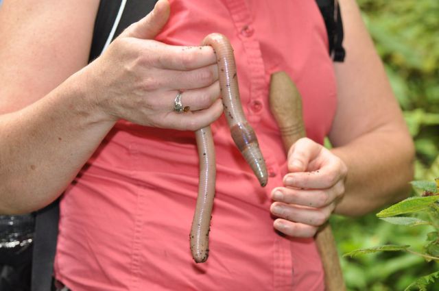 daily picdump 9 pics 27.html - 9 HD Photos | Premium Gallery 2012