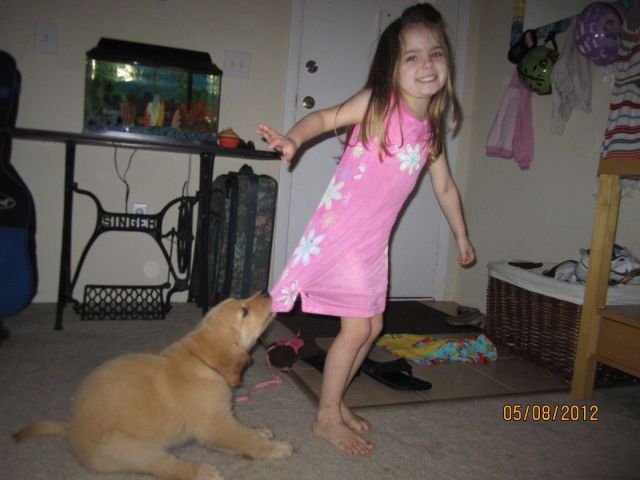 daily picdump 9 pics 27.html - 9 HD Photos | Premium Gallery 2012