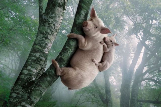 morning picdump 50 pics 22.html - 50 HD Photos | Premium Gallery 2012