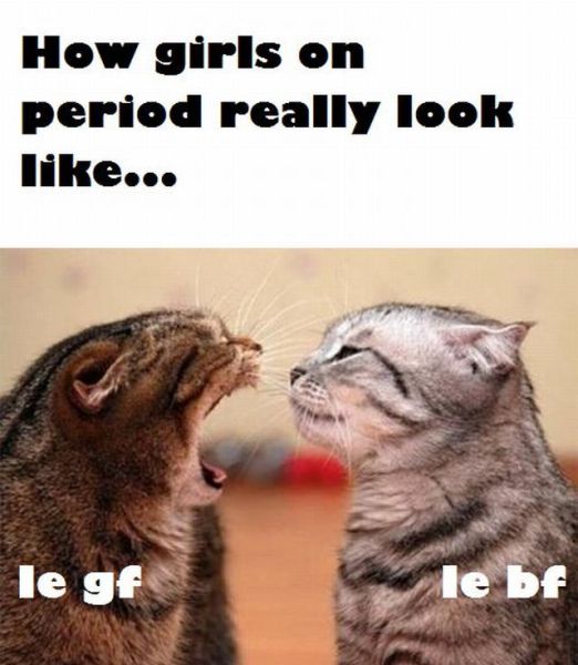 morning picdump 50 pics 22.html - 50 HD Photos | Premium Gallery 2012