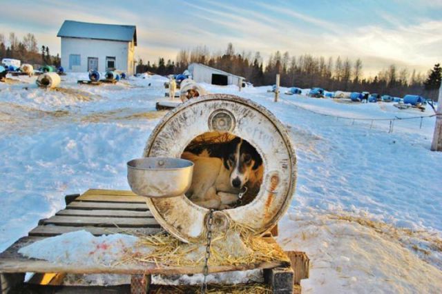 morning picdump 50 pics 12.html - 50 HD Photos | Premium Gallery 2012