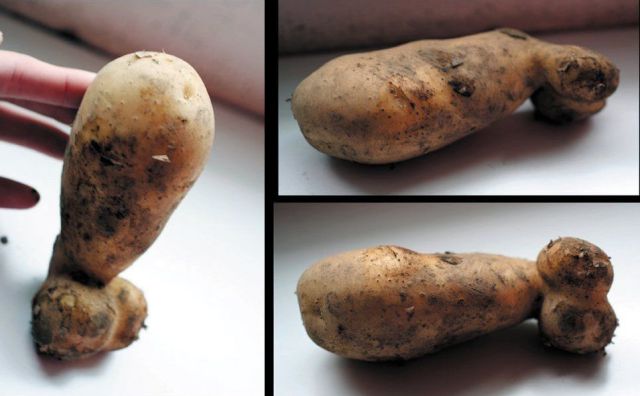 morning picdump 50 pics 12.html - 50 HD Photos | Premium Gallery 2012