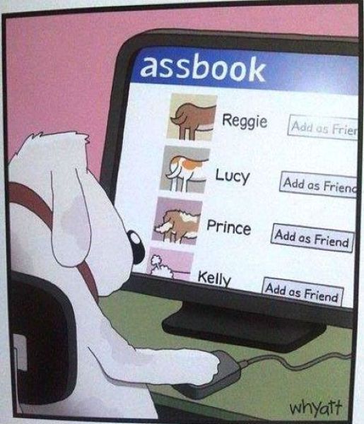 morning picdump 60 pics 46.html - 60 HD Photos | Premium Gallery 2012