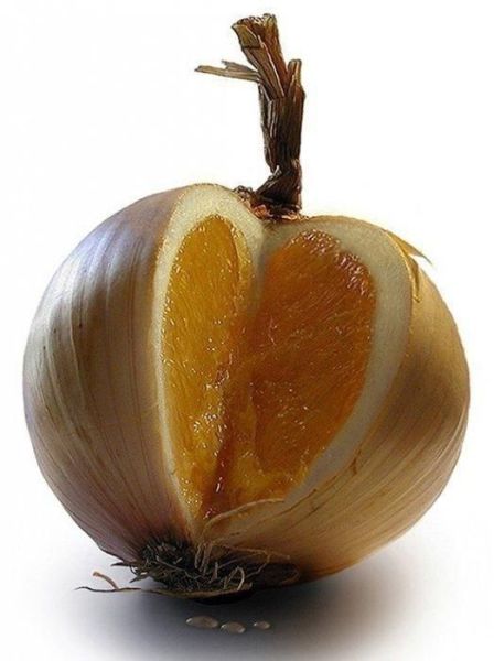 morning picdump 60 pics 46.html - 60 HD Photos | Premium Gallery 2012