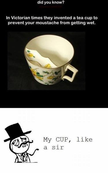 morning picdump 60 pics 46.html - 60 HD Photos | Premium Gallery 2012