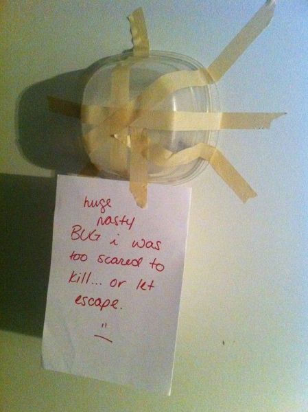 morning picdump 56 pics 7.html - 56 HD Photos | Premium Gallery 2012