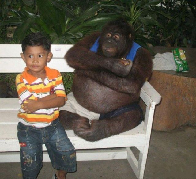 morning picdump 50 pics 3.html - 50 HD Photos | Premium Gallery 2012