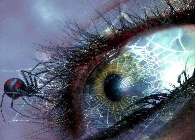 morning picdump 50 pics 3.html - 50 HD Photos | Premium Gallery 2012