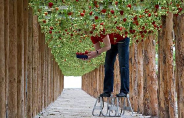 morning picdump 50 pics 3.html - 50 HD Photos | Premium Gallery 2012