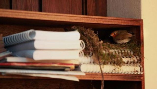 morning picdump 50 pics 3.html - 50 HD Photos | Premium Gallery 2012