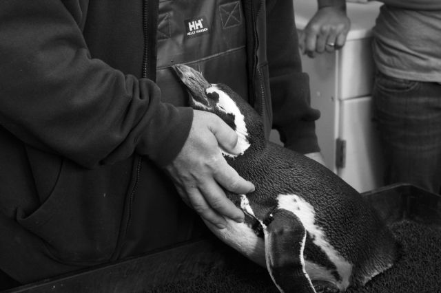 morning picdump 50 pics 3.html - 50 HD Photos | Premium Gallery 2012