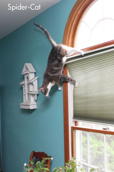 morning picdump 50 pics 3.html - 50 HD Photos | Premium Gallery 2012