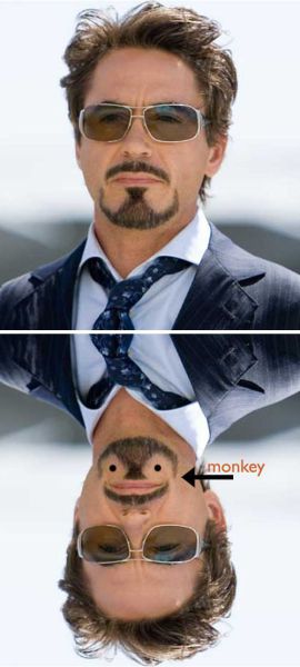 morning picdump 50 pics 3.html - 50 HD Photos | Premium Gallery 2012