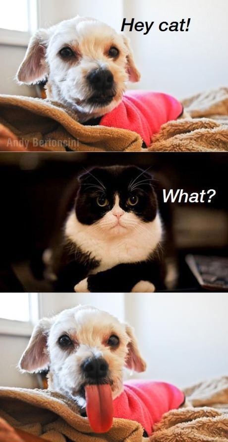 morning picdump 50 pics 3.html - 50 HD Photos | Premium Gallery 2012