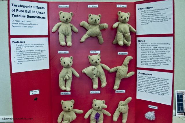 morning picdump 50 pics 13.html - 50 HD Photos | Premium Gallery 2012