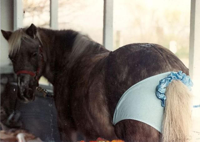 morning picdump 56 pics 1.html - 56 HD Photos | Premium Gallery 2012