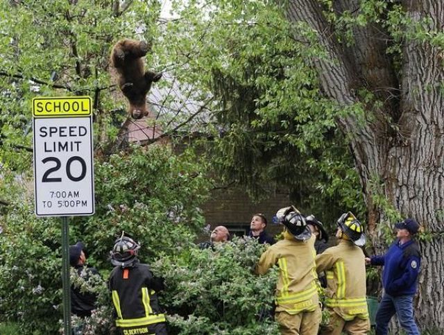 Daily Picdump