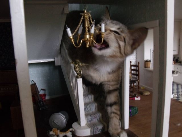 Daily Picdump