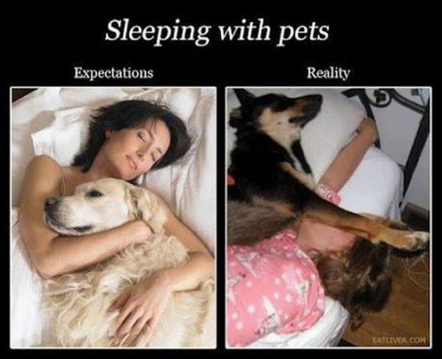 daily picdump 86 pics 12.html - 86 HD Photos | Premium Gallery 2012